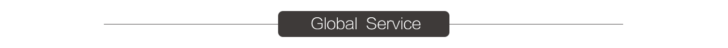 Global Service Servicio global